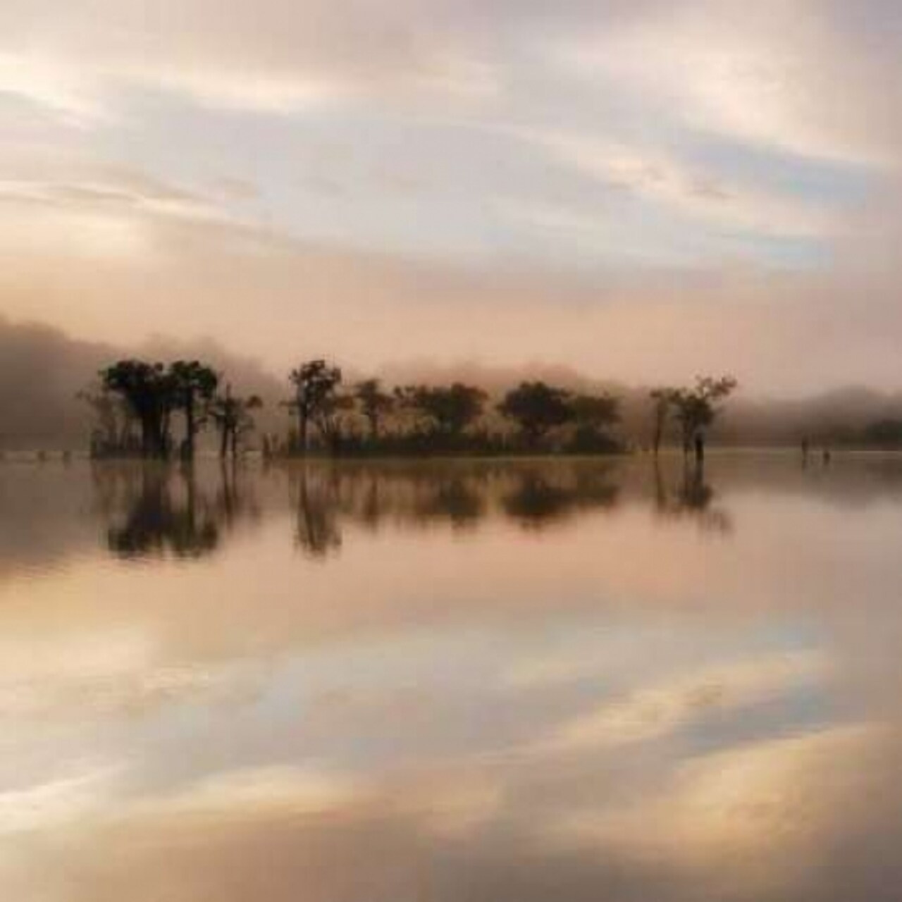 Dawn Mist on the Amazon Poster Print by Andy Mumford - Item # VARPDXM997D